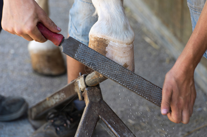 铁匠插座锉刀工匠头发工具维修爪子工作三脚架马蹄铁图片