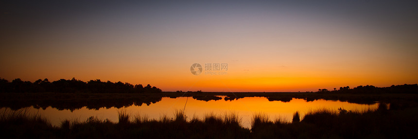 黑点野生动物驱动车大道旅游橙子沼泽天空场景摄影风景芦苇目的地图片