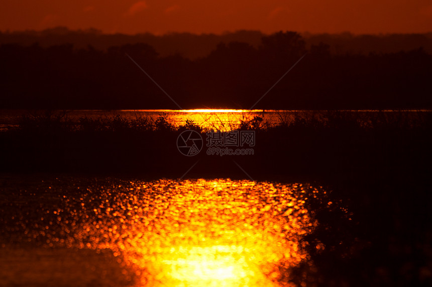 黑点野生动物驱动车风景沼泽摄影反射大道阳光旅游场景日落目的地图片