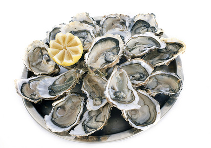 法国牡蛎贝类工作室食物海鲜美食拼盘背景图片