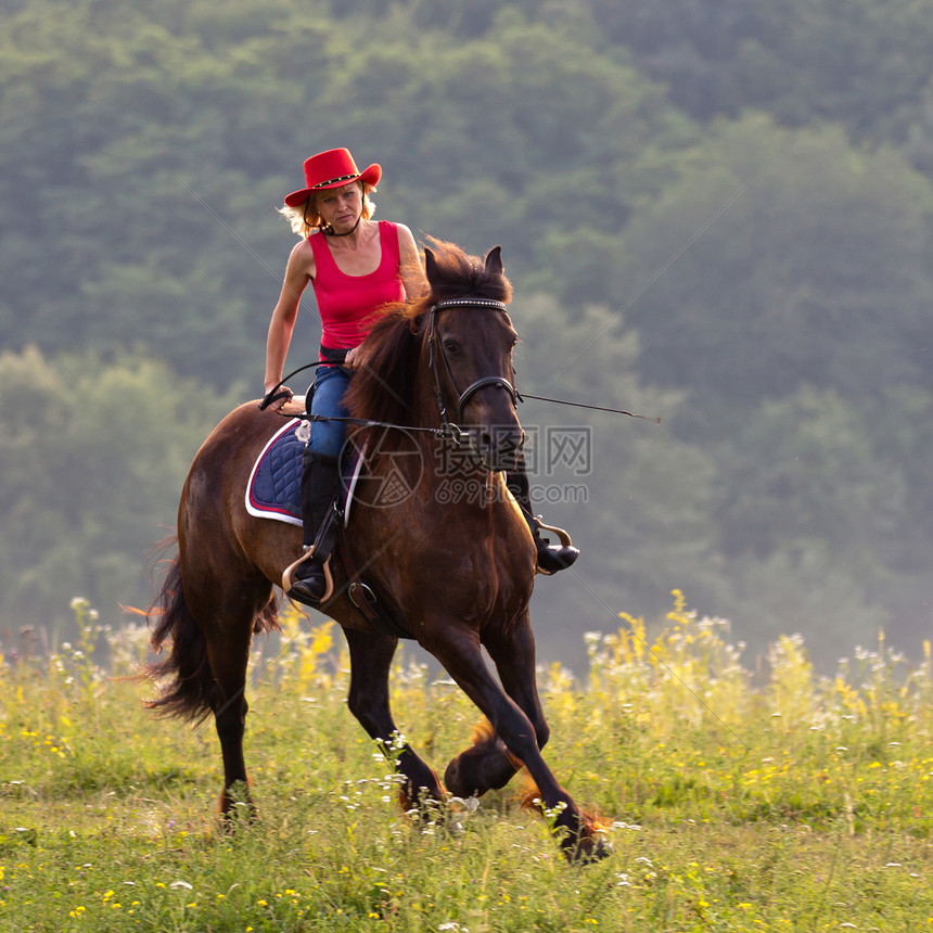 戴红帽子的女性骑着牛仔宠物闲暇帽子农村骑士骑术女士娱乐女骑士图片