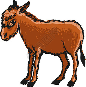 驴子手绘哺乳动物屁股卡通片音乐家插图农场草图骡子插画