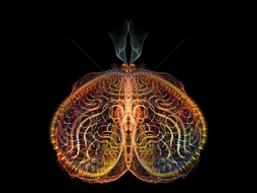 进化蝴蝶创造力奉承插图漏洞科学设计想像力航班眼睛森林图片