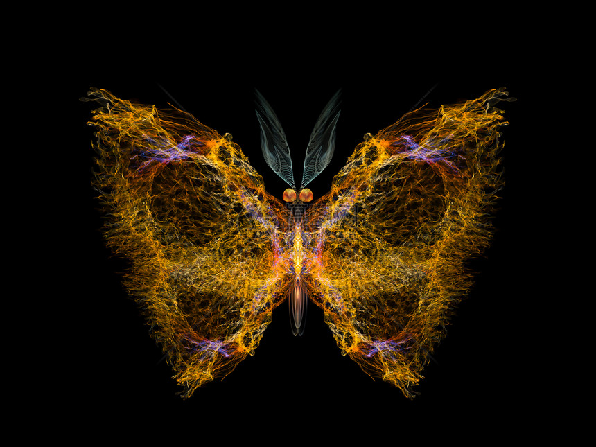蝴蝶设计昆虫装饰品几何学昆虫学宏观元素生物学创造力渲染野生动物图片