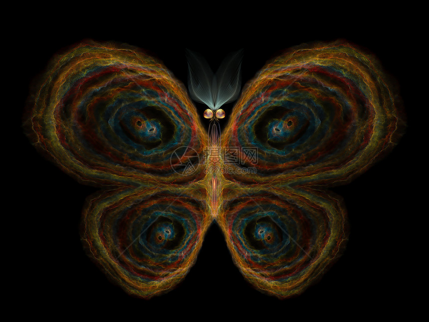 数字蝴蝶航班翅膀科学野生动物触角宏观装饰品想像力渲染数学图片