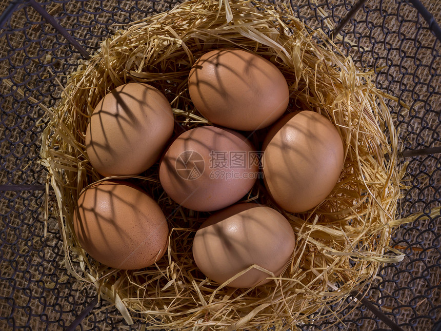 配鸡蛋的篮子营养稻草市场农业美食食物静物图片