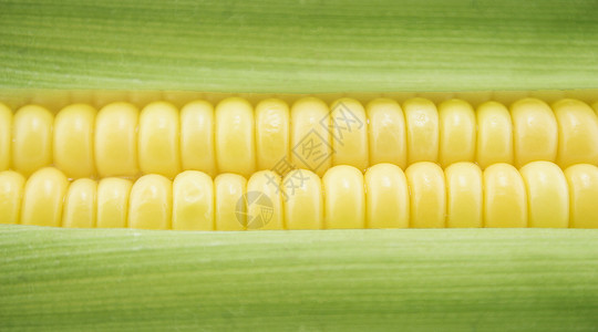 玉米角营养产品收成农业生长耳朵膳食花园叶子棒子背景图片