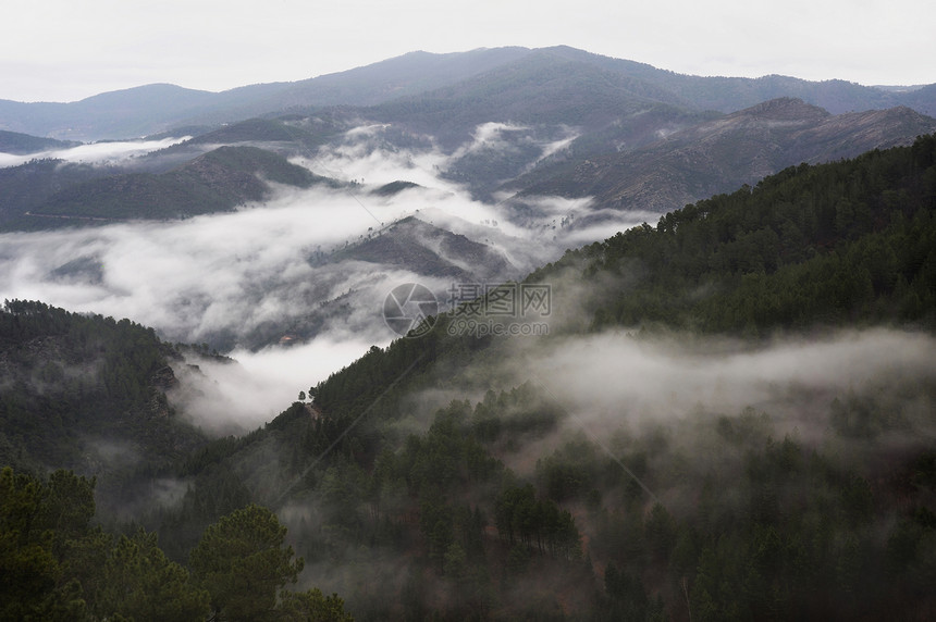 Cevennes山脉风景飞檐国家环境公园岩石全景假期森林天空图片