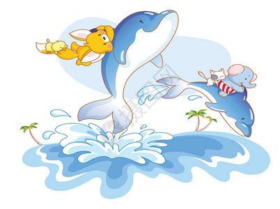 与海豚一起游泳的动物高清图片
