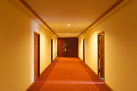 旅馆的一条小走廊休息木头植物酒店地毯旅行墙纸通道套房背景图片