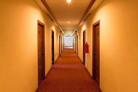 旅馆的一条小走廊植物通道旅行墙纸木头地毯酒店休息套房背景图片