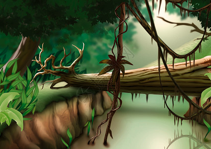 丛林叶子绿色动画片灌木衬套支撑藤本植物插图手绘森林背景图片