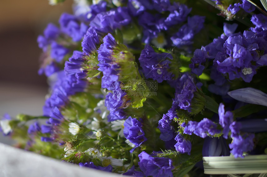 紫色婚礼布束新娘插花叶子订婚图片