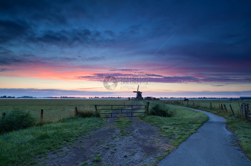 日出时草原上的荷兰风车图片