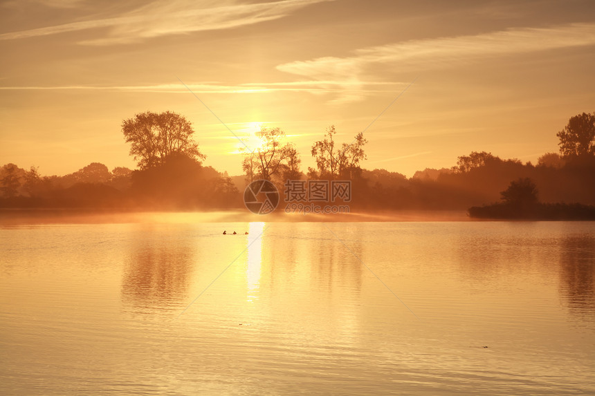 沉雾在湖面上日出风景橙子太阳薄雾鸭子日落天空反射农村阳光图片