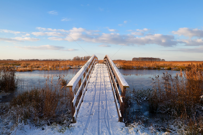 雪中穿过河流的木桥图片