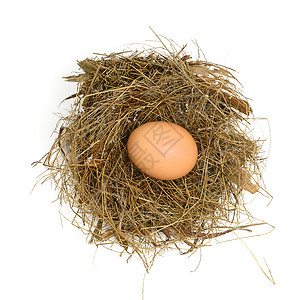 雀巢中的鸡蛋主食棕色食物脆弱性影棚巢穴动物背景图片