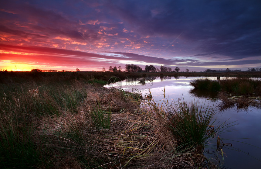 沼泽的迅速日出风景池塘橙子云景戏剧性天空蓝色季节农村日落图片