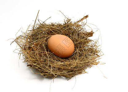 雀巢中的鸡蛋影棚脆弱性食物棕色巢穴动物主食背景图片