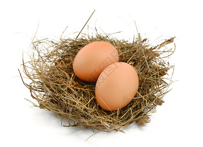 雀巢中的鸡蛋棕色脆弱性动物影棚食物主食巢穴背景图片