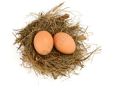 雀巢中的鸡蛋棕色食物主食巢穴脆弱性影棚动物背景图片