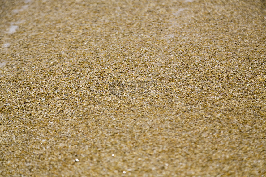 以海砂为背景和成份宏观作品海滩季节墙纸图片