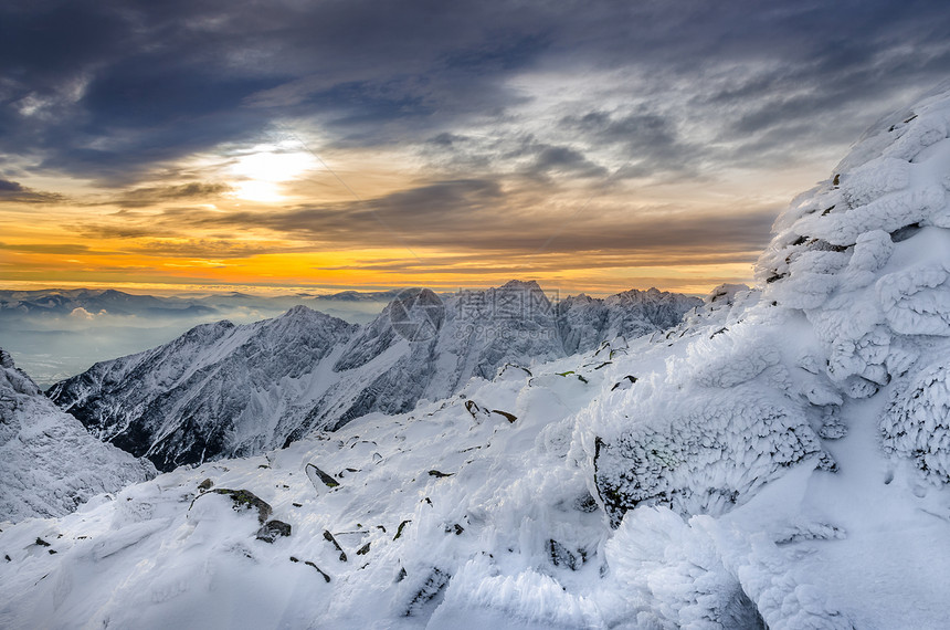 冬山风景 冰雪和冰雪童话暴风雪首脑森林季节植物群降雪风景旅行阳光图片