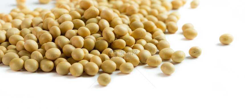 大豆饮食豆类豆浆宏观营养食物乳糖粮食纤维豆子图片