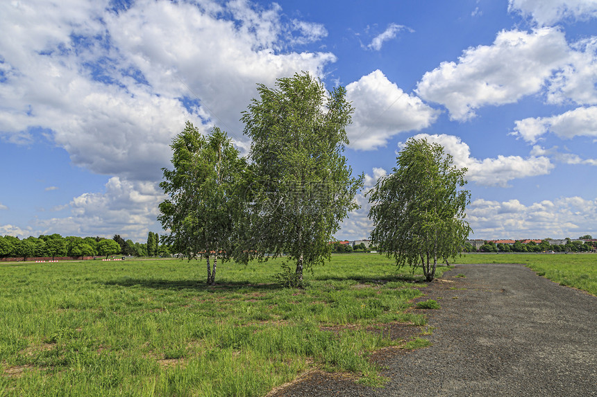 德国柏林三棵树白色勘探绿色蓝色植物城市天空草地天气图片