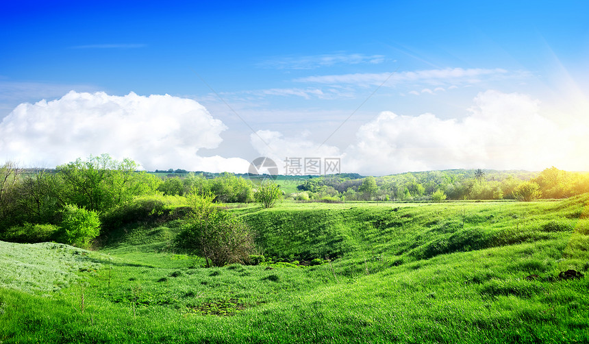 春季风景牧场树木花园日落风光生长场地爬坡田园草地图片