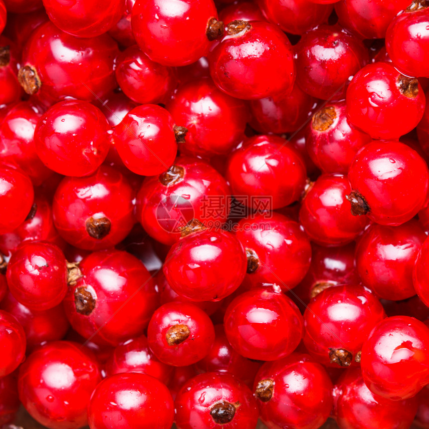 红曲线营养食物农业团体水果红色图片
