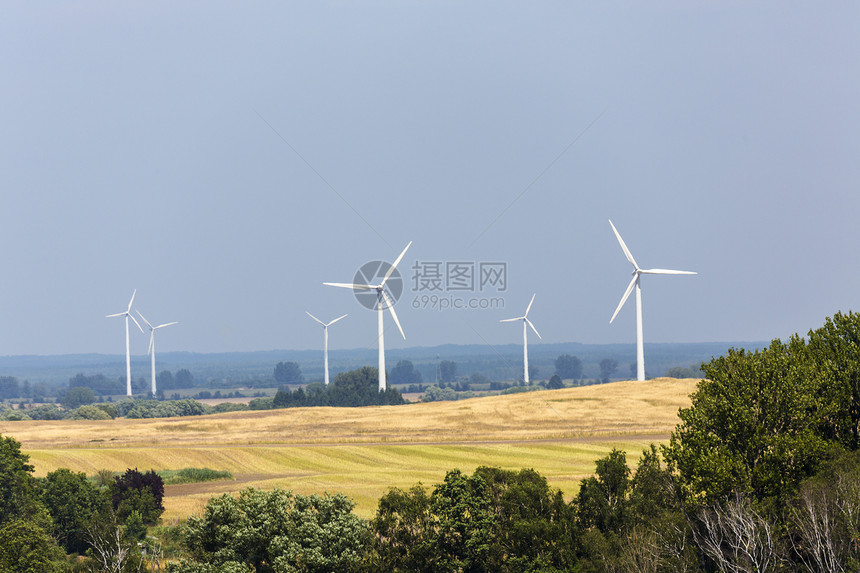 森林和田地的风力涡轮机图片