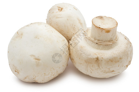 香农蘑菇蔬菜美食食物白色营养团体茶点宏观高清图片