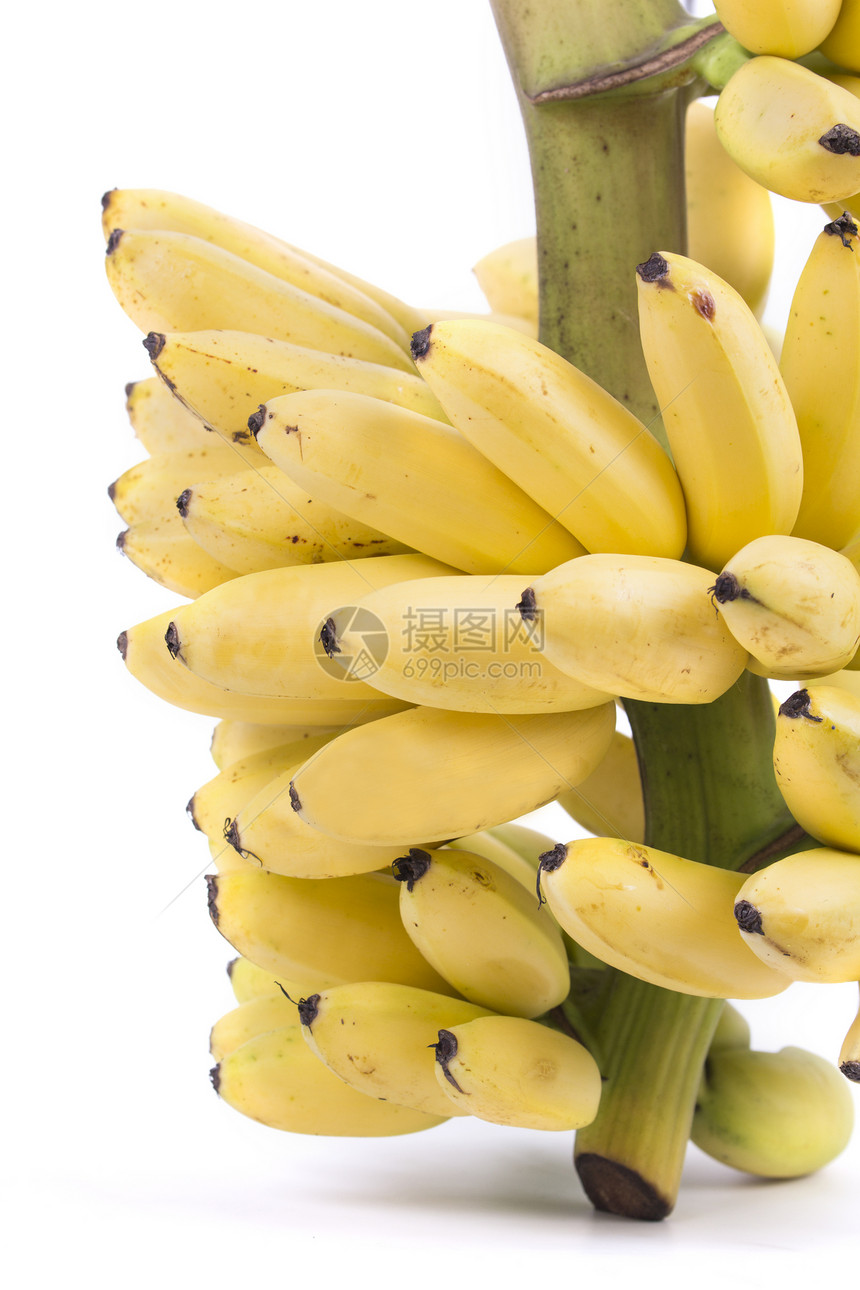 香蕉群聚群食物工作室团体植物白色黄色水果农业图片