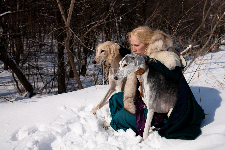 金发和沙露猎犬阳光毛皮女性宠物衣服猎人森林动物晴天图片