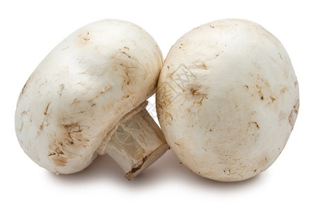 香农蘑菇团体白色宏观美食营养蔬菜高清图片