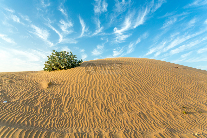 干旱地区灰尘旅游场景天空植物旅行蓝色沙漠图片