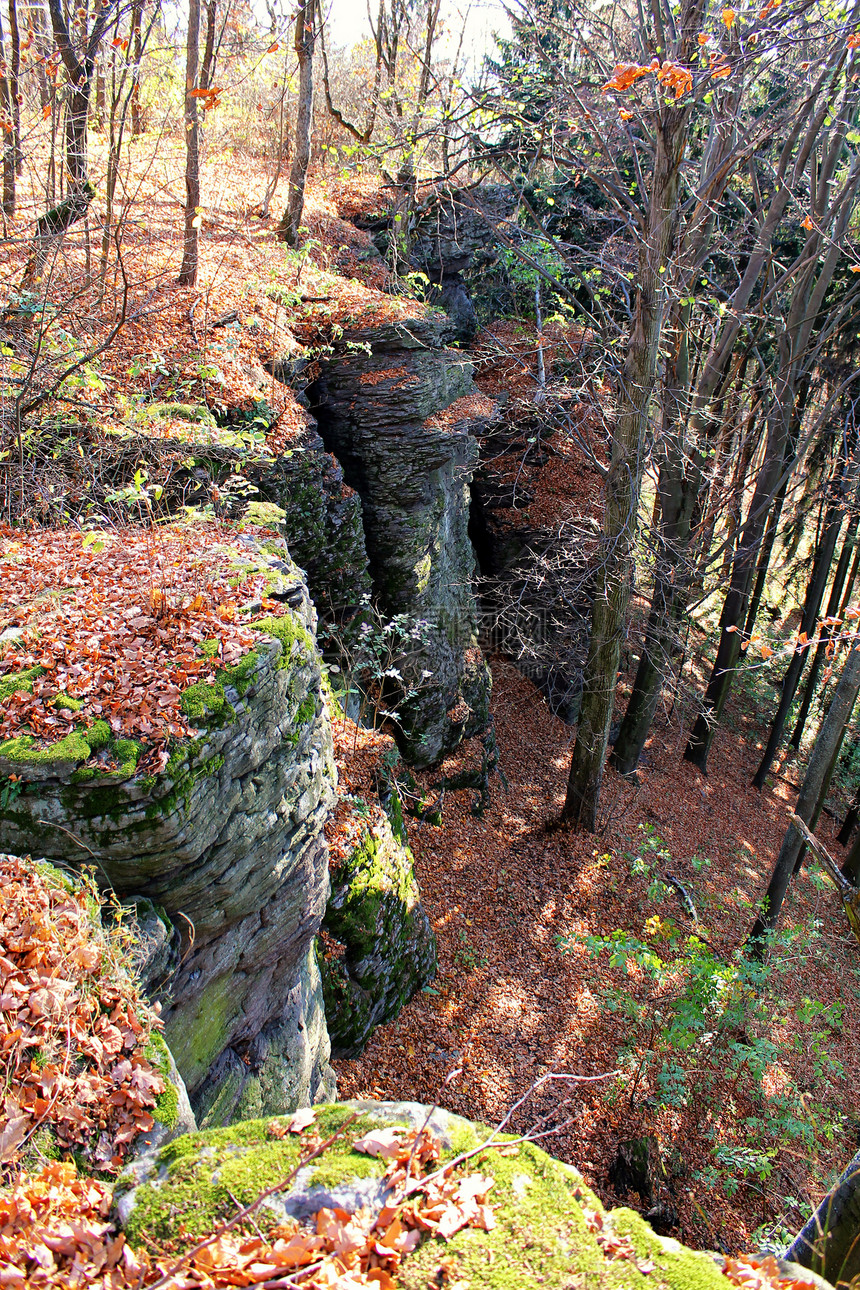 秋天落岩风景丘陵树木石头阳光天空叶子日出薄雾山谷森林图片