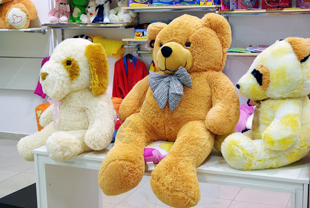 Plush 玩具泰迪熊高清图片素材