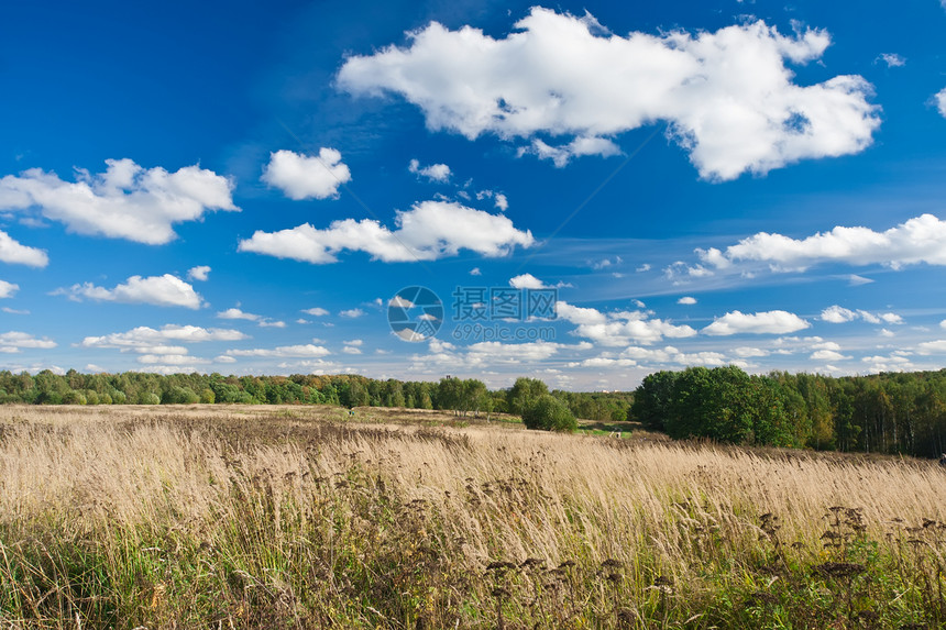 草地农村国家季节太阳晴天阳光蓝色场地牧场地平线图片
