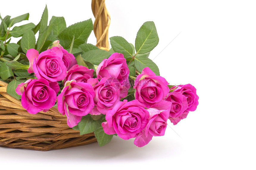 篮子里的粉红玫瑰礼物展示紫色生日庆典植物叶子花瓣母亲仪式图片
