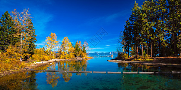 湖边的树木场景风景水平全景阳光旅游反射黄色季节摄影背景图片