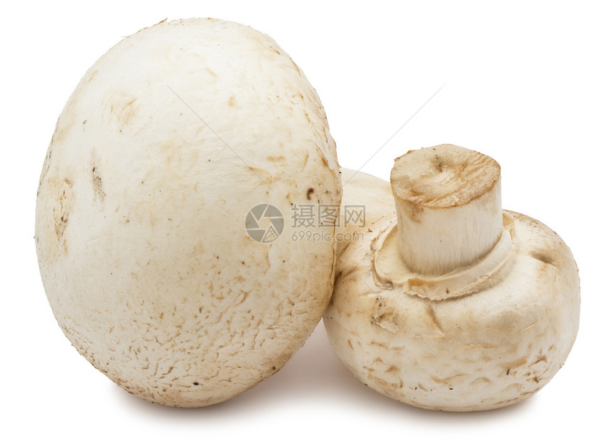 香农蘑菇茶点食物蔬菜团体营养美食宏观图片