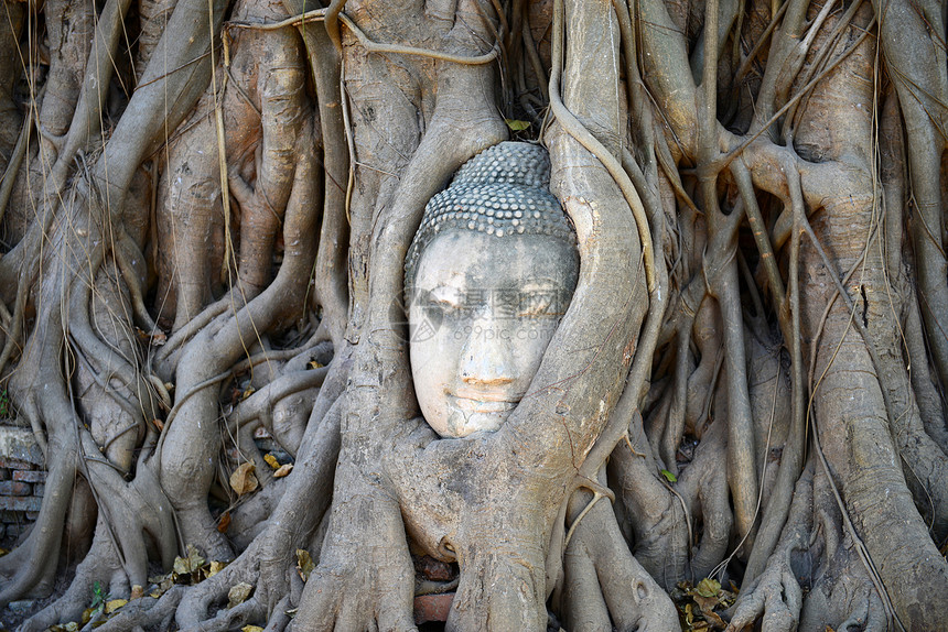 佛头被阿尤塔亚的根所包围地点古董雕像寺庙文化旅游杂草旅行假期砂岩图片