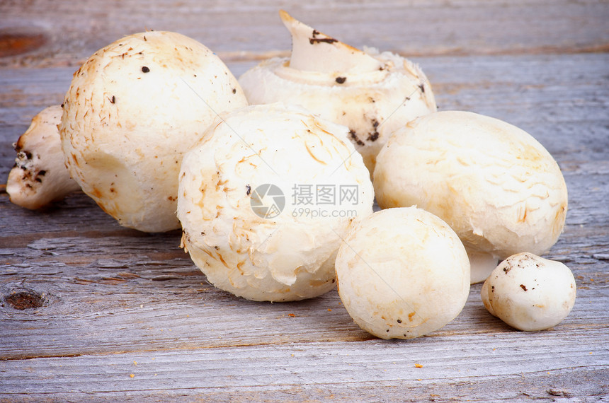 白色香皮尼翁蘑菇食物乡村生食蔬菜素食宏观背景食用菌灰色健康饮食图片