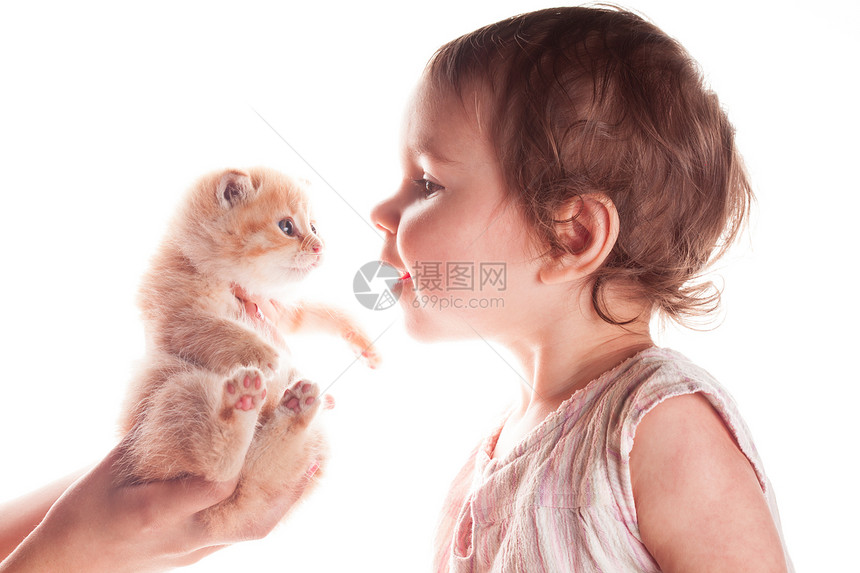 女婴和小猫儿童婴儿压痛微笑孩子白色女孩宠物动物童年图片