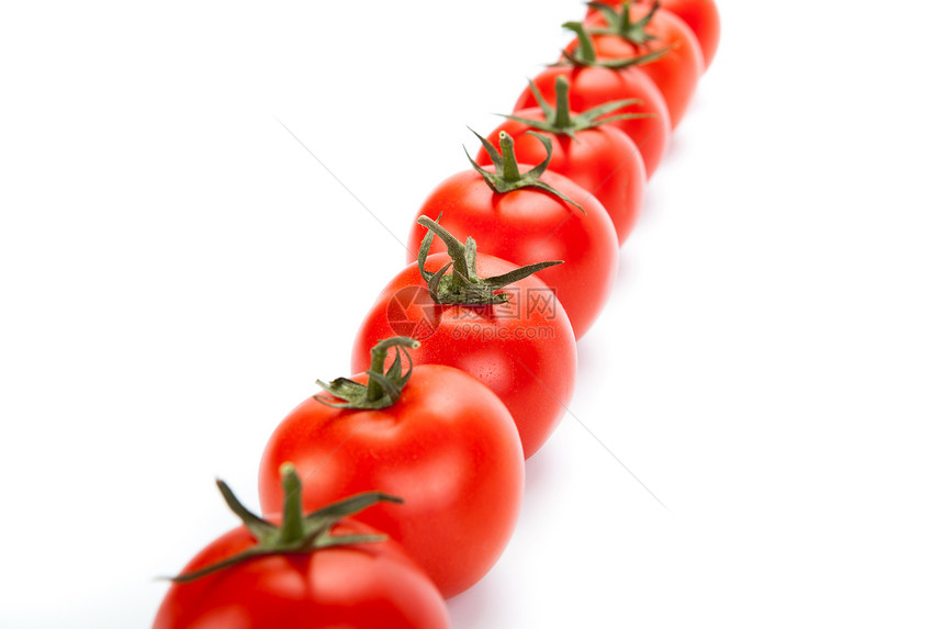 白色背景的红西红番茄排成一行食物厨房沙拉酱蔬菜红色水样图片