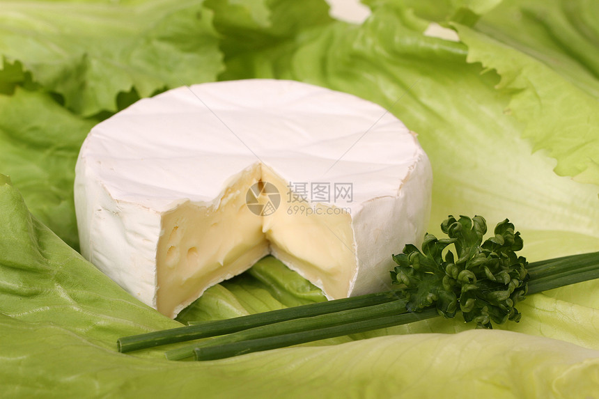 卡百塞贵族霉菌奶制品模具香菜沙拉宏观乳制品面包营养图片