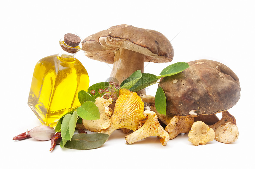 橄榄油和食用蘑菇图片