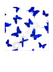 蝴蝶无缝模式装饰装饰品绘画卡片翅膀风格打印墙纸动物插图背景图片